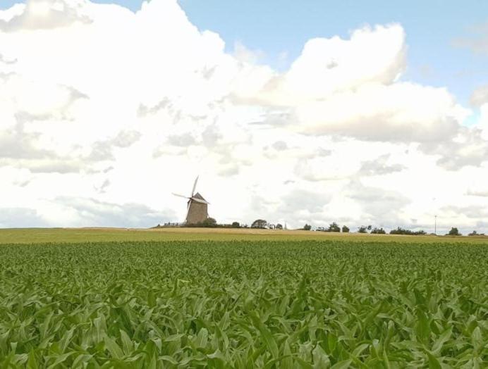 Gite Timeo Mont Saint-Michel Pontorson Exteriör bild