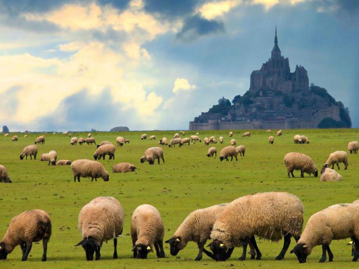 Gite Timeo Mont Saint-Michel Pontorson Exteriör bild